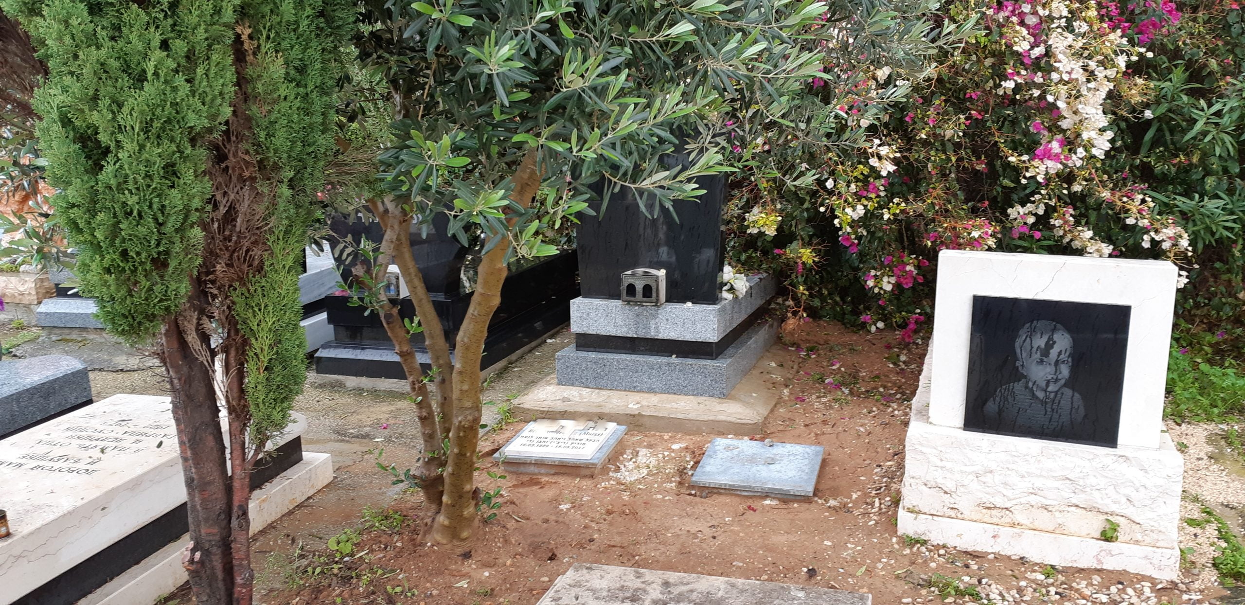 קבורה חילונית