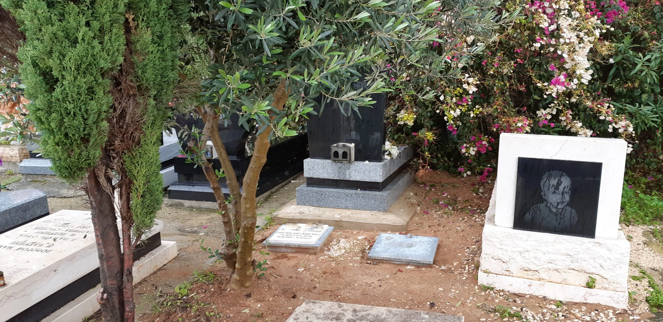 קבורה חילונית